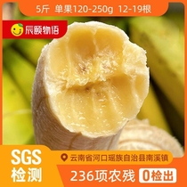 辰颐物语绿皮香蕉5斤自然熟云南威尼斯香蕉新鲜水果不催熟不泡药