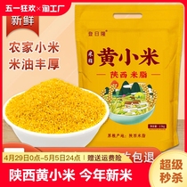 陕西黄小米5斤 今年新米粘粥养胃五谷杂粮米油多农家小米2.5kg