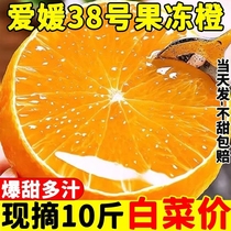 爱媛38号果冻橙四川10斤正宗新鲜当季水果柑橘桔手剥橙子整箱包邮