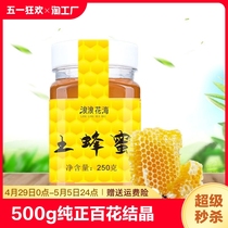 500g土蜂蜜纯正品农家自产百花土蜜糖结晶巢蜜玻璃瓶儿童正宗