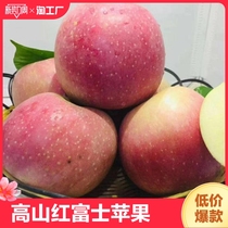 高山红富士苹果脆甜多汁产地直发陕西正宗山地苹果带箱2斤