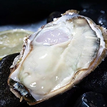 乳山生蚝鲜活牡蛎海鲜水产贝类海蛎子肉大带壳新鲜即食超大