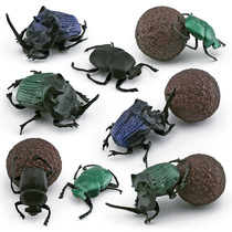 仿真昆虫野生动物蜣螂模型儿童认知屎壳郎甲虫沙盘装饰摆件