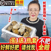 乳山生蚝即食鲜活10斤一箱特大牡蛎带壳海蛎子新鲜海鲜贝壳5斤装