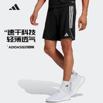 adidas阿迪达斯速干短裤运动短裤男足球组队服吸汗跑步裤训练健身