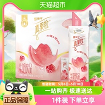 蒙牛真果粒牛奶饮品白桃树莓味配制型含乳饮料240g×12包