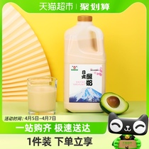 【山姆同款】和润日式炭烧酸奶大桶家庭装低温风味酸牛奶2.65kg