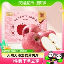 喵满分山东烟台红富士苹果5斤大果新鲜应季水果脆甜整箱包邮