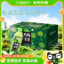 达利园茶饮料青梅绿茶500ml*15瓶夏季饮品绿茶配青梅酸甜整箱