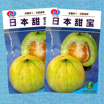 高产日本甜宝甜瓜香瓜四季春季超甜老品种蔬菜水果种子籽孑秧苗