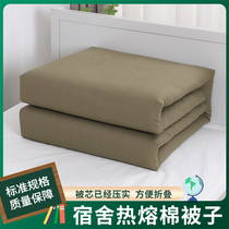 正品热熔棉被宿舍内务被学生军训标准军绿色单人床可盖火蓝色被子
