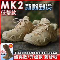 LOWA Zephyr MK2 GTX户外登山鞋徒步鞋男女防水低帮军迷鞋战术靴