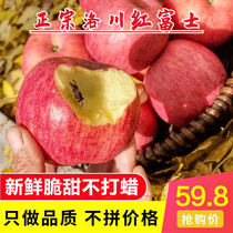 【包脆甜】正宗陕西洛川红富士苹果10斤新鲜水果冰糖心一级大果