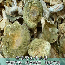野生青头菌干货青头菇菌类特产蘑菇煲汤材料干菌菇菌子食材