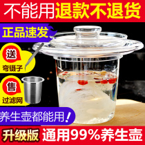 养生壶家用燕窝机隔水炖盅玻璃内胆杯透明小配件专用锅耐高温硼硅