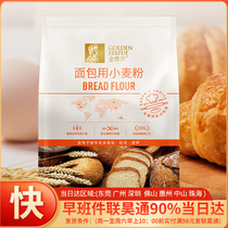 烘焙原料 高筋面粉面包粉 香港南顺 金像高品质面粉 1000g原装