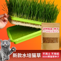 猫草种植套装猫零食猫咪去毛球猫草大麦猫草种子带大水殖盆不用土