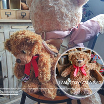 小熊背包小熊包泰迪熊公仔玩偶娃娃生日礼物圣诞节礼物小孩背包