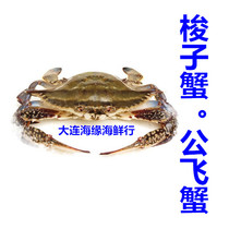 大连新鲜公飞蟹500g 5-7两/只活蟹 梭子蟹 大海蟹 大连鲜活海鲜