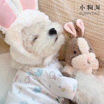 Ins爆款韩国宠物兔子松s鼠可爱陪睡幼犬泰迪博美毛绒狗狗发声玩具