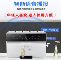 家用净水器100G加热一体直饮机触摸智能J语音提示厨房五级RO反渗